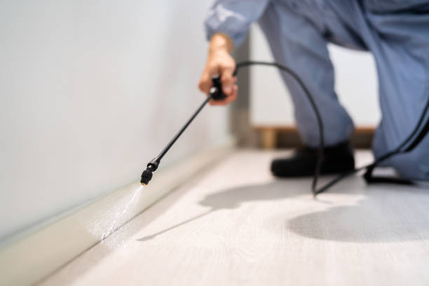 Professional exterminator conducting IPM assessment in Laureles